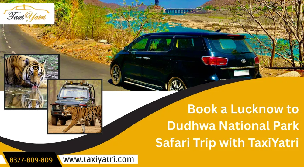 Lucknow to Dudhwa National Park