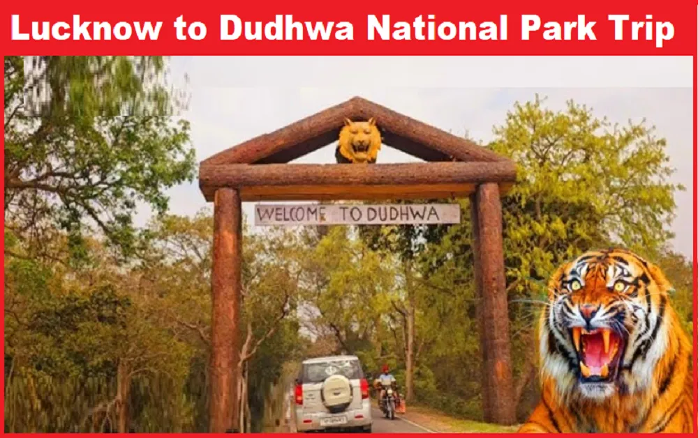 Lucknow to Dudhwa National Park Safari Trip