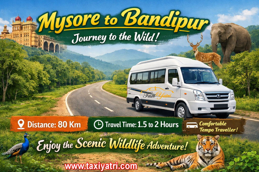 Mysore to Bandipur