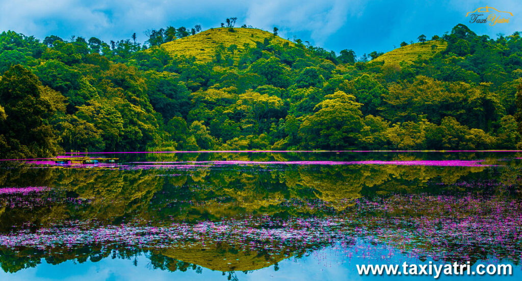Wayanad: Kerala's Green Paradise